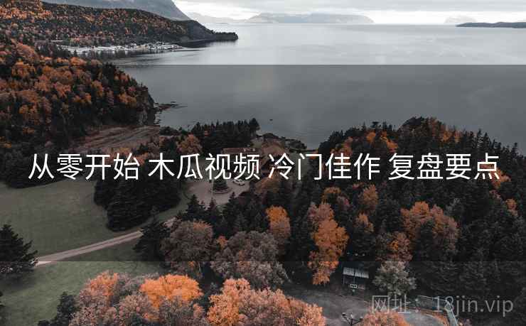 从零开始 木瓜视频 冷门佳作 复盘要点