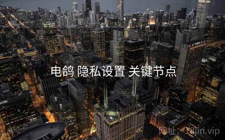 电鸽 隐私设置 关键节点