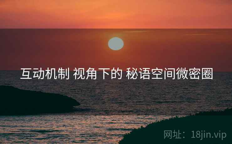 互动机制 视角下的 秘语空间微密圈