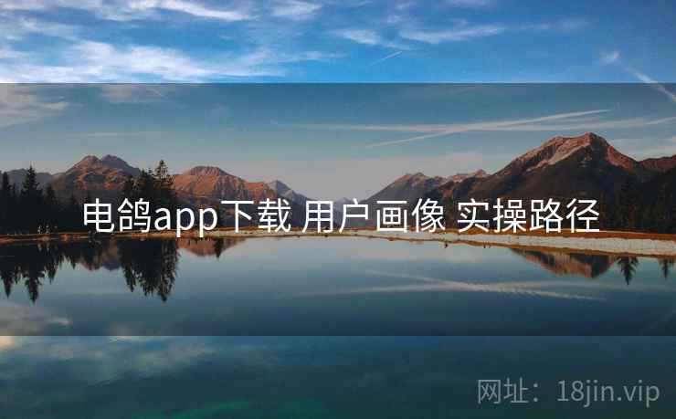 电鸽app下载 用户画像 实操路径