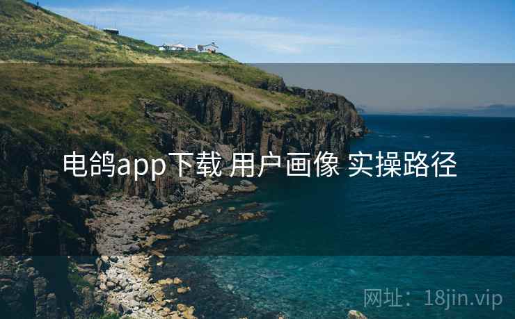 电鸽app下载 用户画像 实操路径
