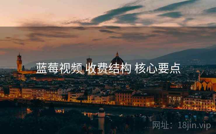 蓝莓视频 收费结构 核心要点