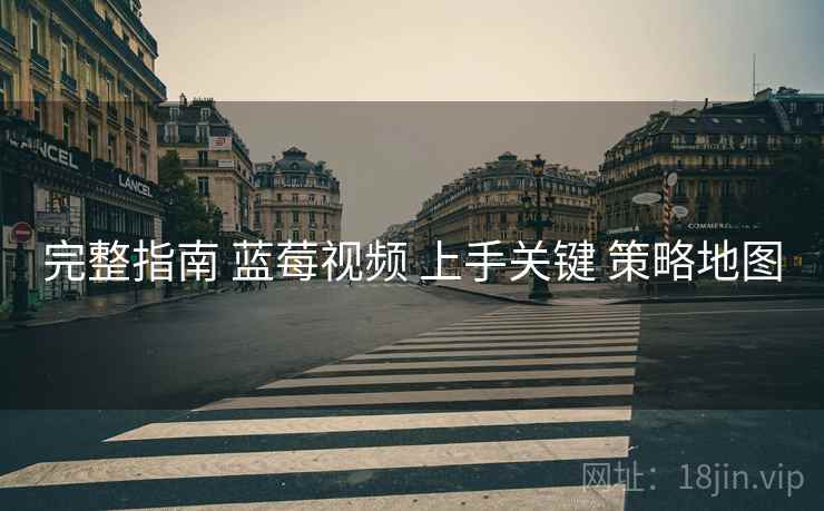 完整指南 蓝莓视频 上手关键 策略地图