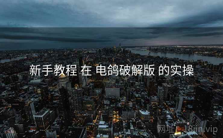 新手教程 在 电鸽破解版 的实操