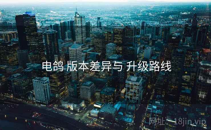 电鸽 版本差异与 升级路线