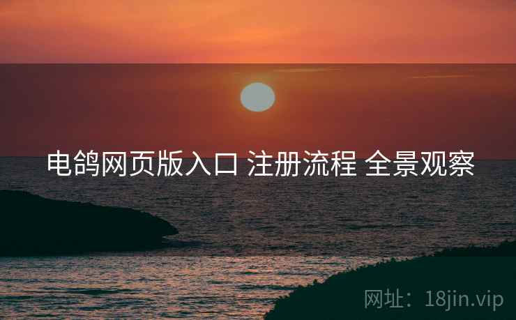 电鸽网页版入口 注册流程 全景观察