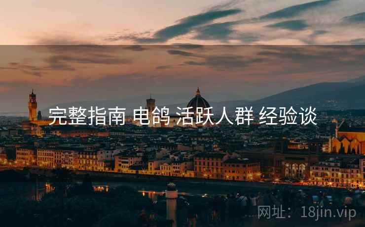 完整指南 电鸽 活跃人群 经验谈