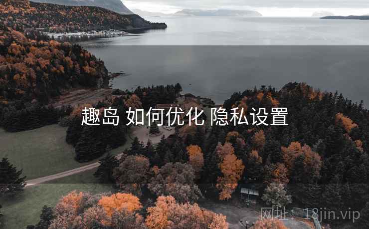 趣岛 如何优化 隐私设置