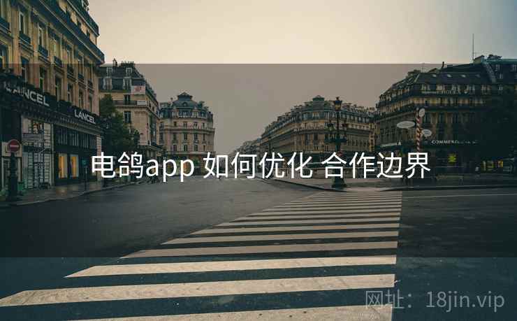电鸽app 如何优化 合作边界
