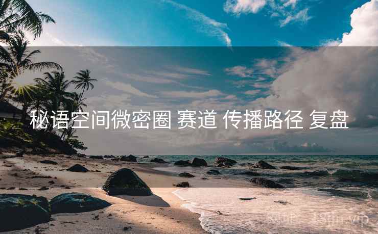 秘语空间微密圈 赛道 传播路径 复盘