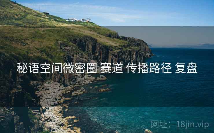 秘语空间微密圈 赛道 传播路径 复盘