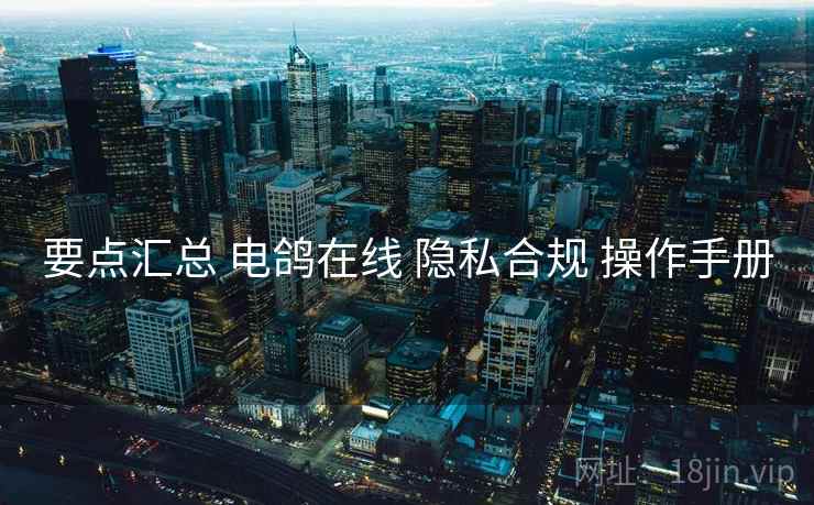 要点汇总 电鸽在线 隐私合规 操作手册
