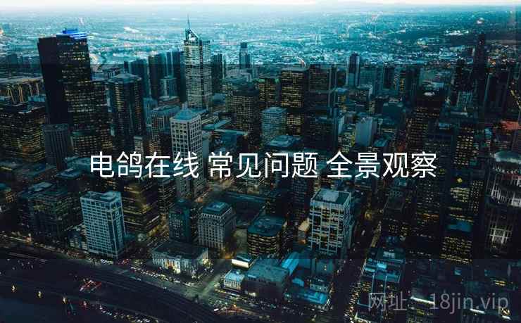 电鸽在线 常见问题 全景观察