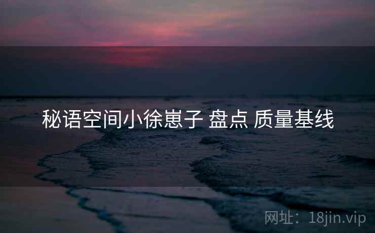 秘语空间小徐崽子 盘点 质量基线