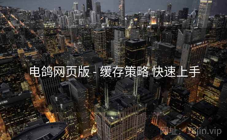 电鸽网页版 - 缓存策略 快速上手