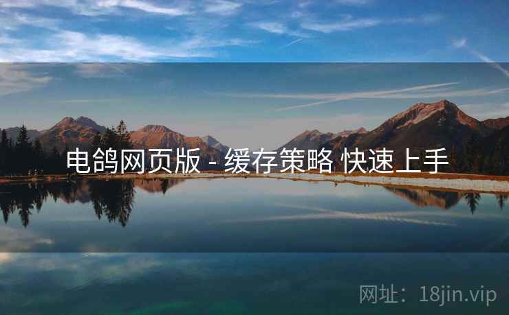 电鸽网页版 - 缓存策略 快速上手
