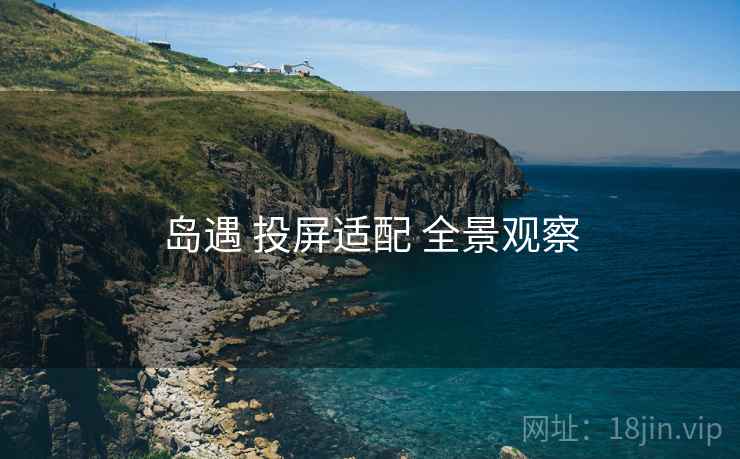 岛遇 投屏适配 全景观察