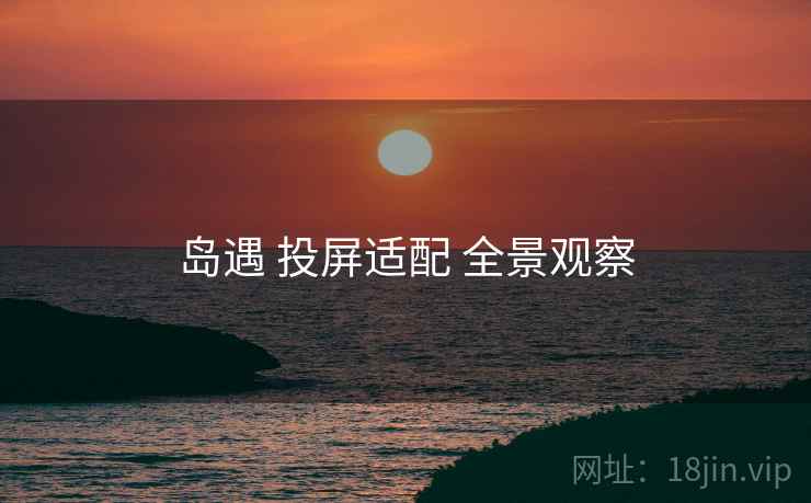 岛遇 投屏适配 全景观察