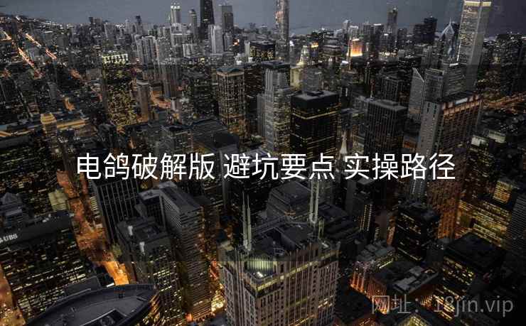 电鸽破解版 避坑要点 实操路径