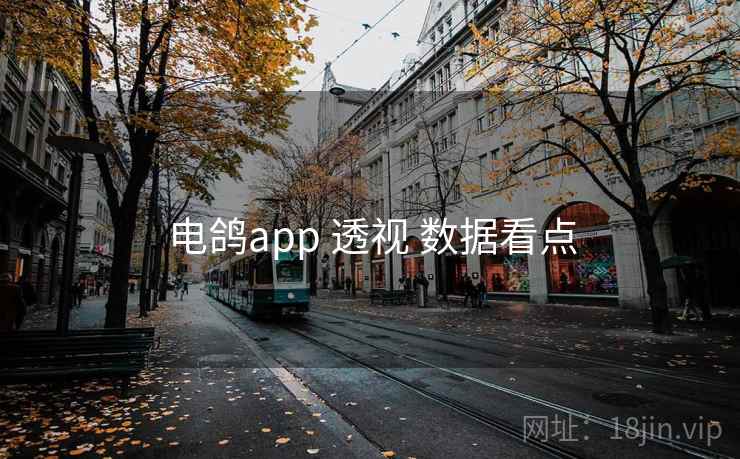 电鸽app 透视 数据看点